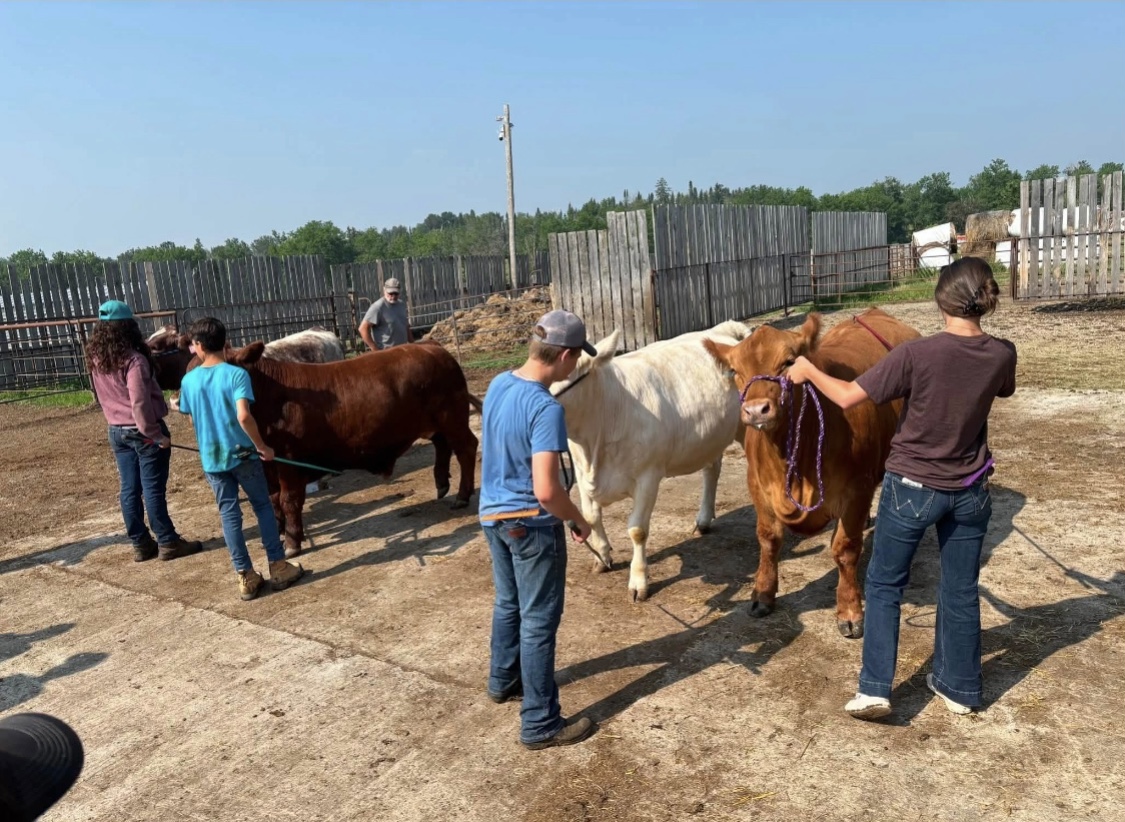 4-H club learns about herd health